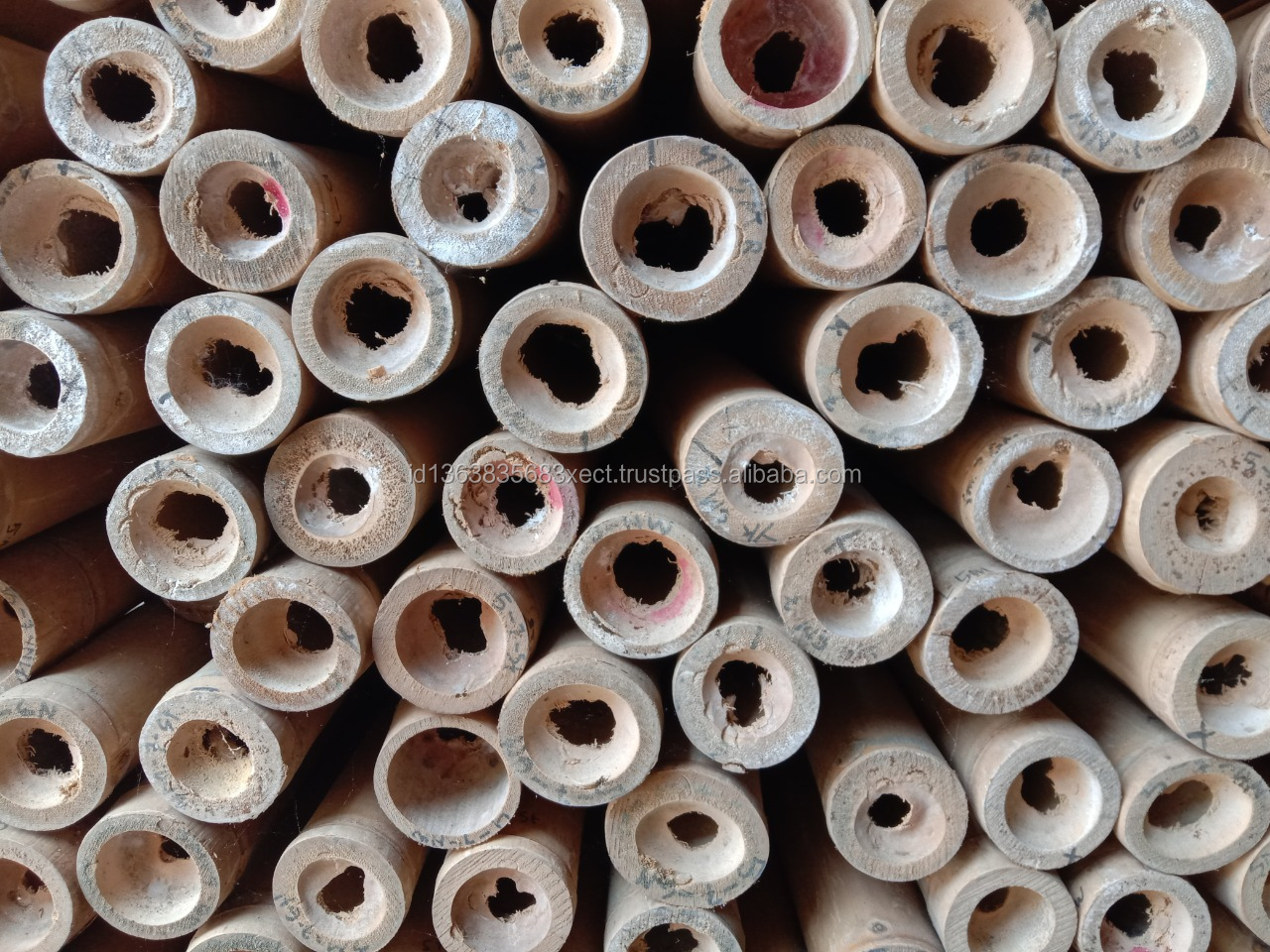 READY TO SHIP 300 CM Large Bamboo Material Gigan Bamboo Poles Treated for Construction Giant Bamboo