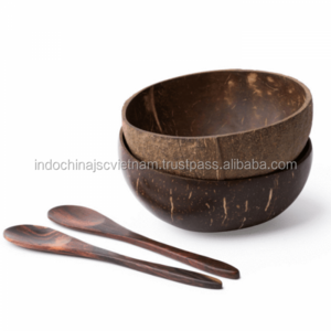 Coconut shell bowl/ Lacquer Coconut bowl