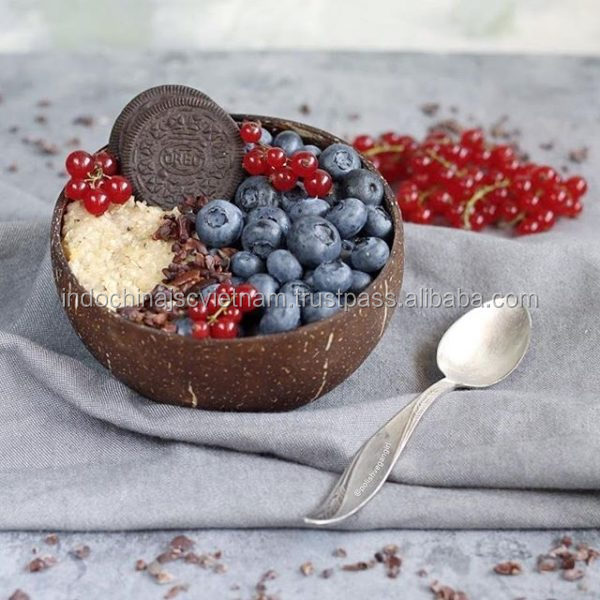 Coconut shell bowl/ Lacquer Coconut bowl