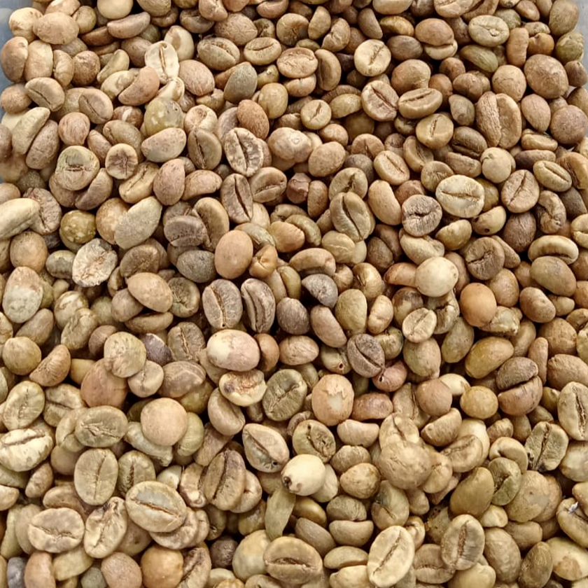 High-quality Sumatra Mandheling Robusta Coffee Beans Direct from Indonesian Highlands