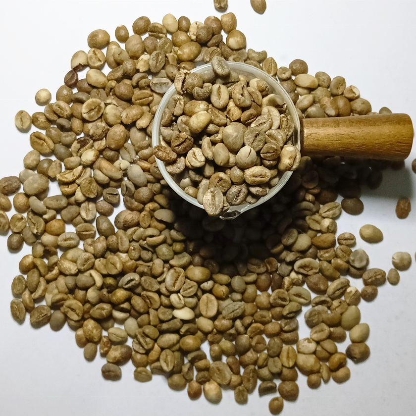 High-quality Sumatra Mandheling Robusta Coffee Beans Direct from Indonesian Highlands