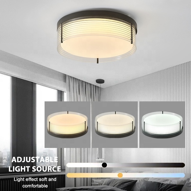 2023 New Trend Surface Mounted Ceiling Lamp 3cct Dimmable 24w Modern Round Shape Acrylic Led Ceiling Light For Living Room