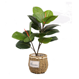 CY Hot Selling Premium Indoor Outdoor Artificial Plastic Decorations Tropical Plant Traveler Tree