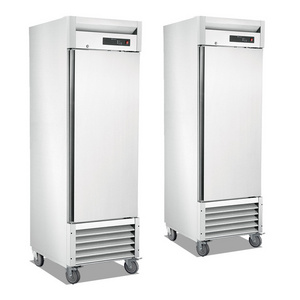 ETL Certification Manufacturer Commercial Refrigerator Single Door Stainless Steel Vertical Freezer