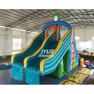 Mini Size Frog Inflatable Pool Slide For Inground Swimming Pools