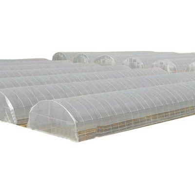 Fruit Tree Protect Greenhouse PE Film High Tunnel Low Cost for Vegetable Eva 250micron Plastic Poly Tunnel Single-Span Tomato