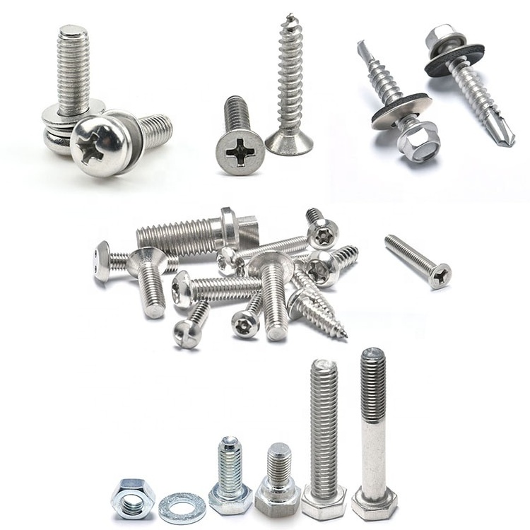 Supply Stainless Steel M1.6~M20 Self Tapping Drilling Security Machine Screw Bolt and Nut