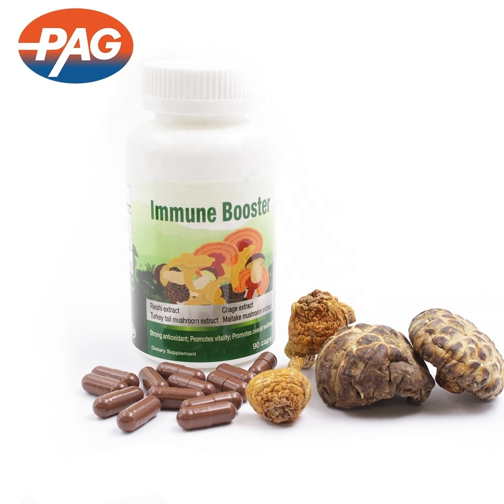 Private Label Immune Booster Supplement Maitake Chaga Red Reishi Lions Mane Mushroom Extract Herbal Capsules