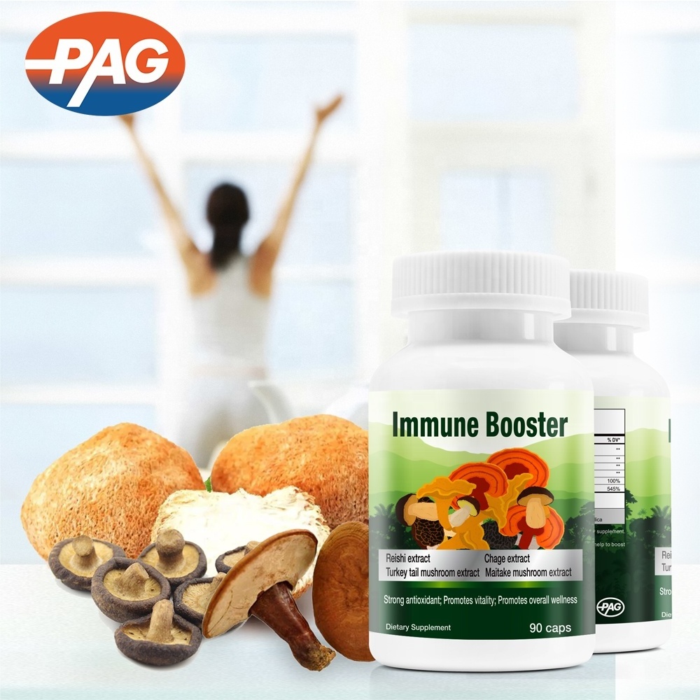 Private Label Immune Booster Supplement Maitake Chaga Red Reishi Lions Mane Mushroom Extract Herbal Capsules