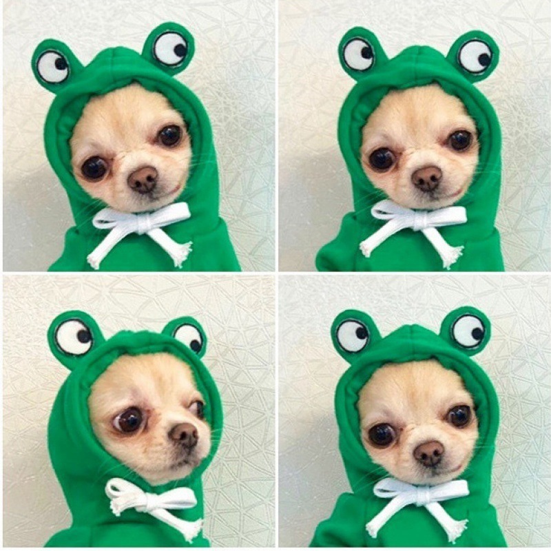 Dog Basic Sweater Coat Cute Frog Shape Warm Jacket Pet Cold Weather Clothes Outfit Outerwear for Small Dogs Cats Puppy Small Ani