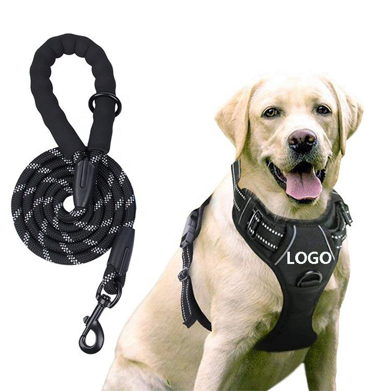 Reflective Outdoor Adjustable Soft Padded Dog Oxford Vest No-Pull Pet Designer Dog Harness and Leash Set