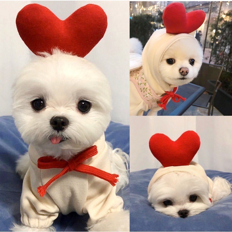 Dog Basic Sweater Coat Cute Frog Shape Warm Jacket Pet Cold Weather Clothes Outfit Outerwear for Small Dogs Cats Puppy Small Ani