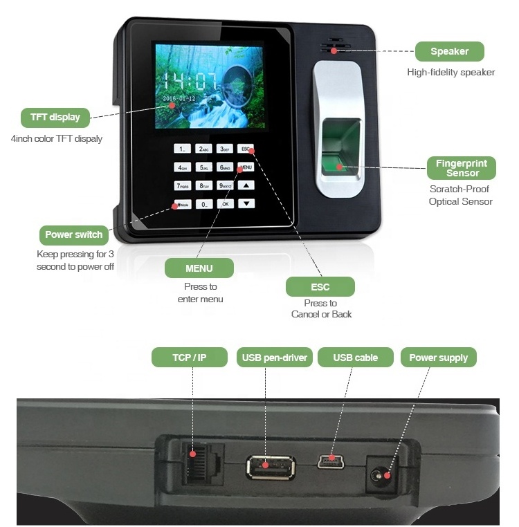 Web base Linux WIFI Biometric Fingerprint Reader Time Attendance Device(MYA9)