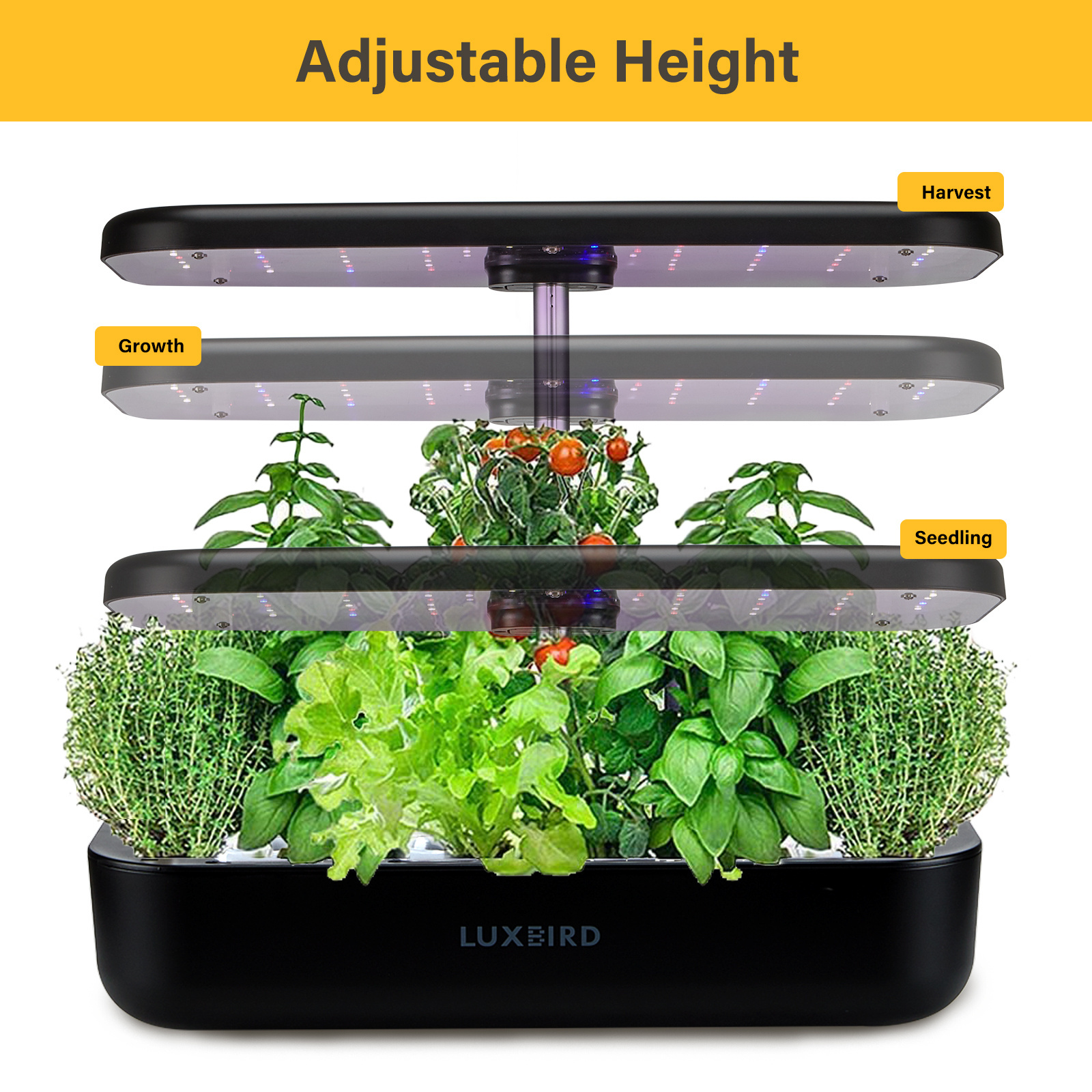 Inkbird Hydroponics Growing System, Indoor Herb Garden Starter Kit with LED Grow Light, 3L Large Capacity