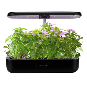 Inkbird Hydroponics Growing System, Indoor Herb Garden Starter Kit with LED Grow Light, 3L Large Capacity