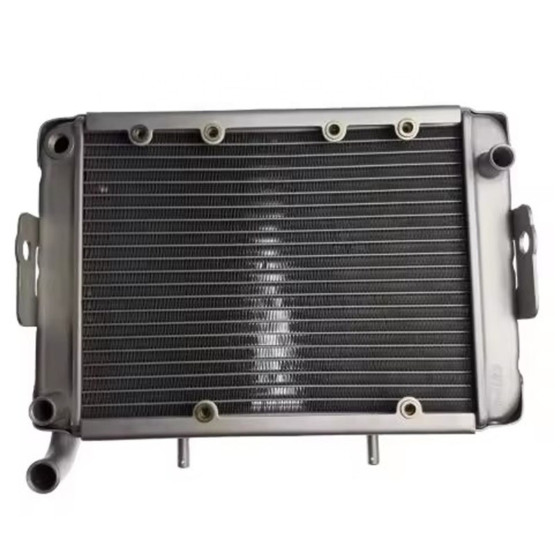 OEM Best Price Linhai ATVs Parts 260cc 300cc 400cc Radiator Assy Water Tank 22904T 4x4 Quad ATV UTV Spare Parts & Accessories