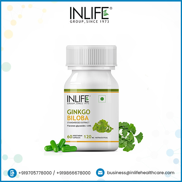 INLIFE Ginkgo Biloba Extract Capsule with Flavons Glycosides > 24%, 120 mg - 60 Vegetarian Capsules