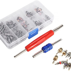 Car Auto A/C R12 R134a Refrigeration Tire Valve Stem Cores Remover Assortment Tool