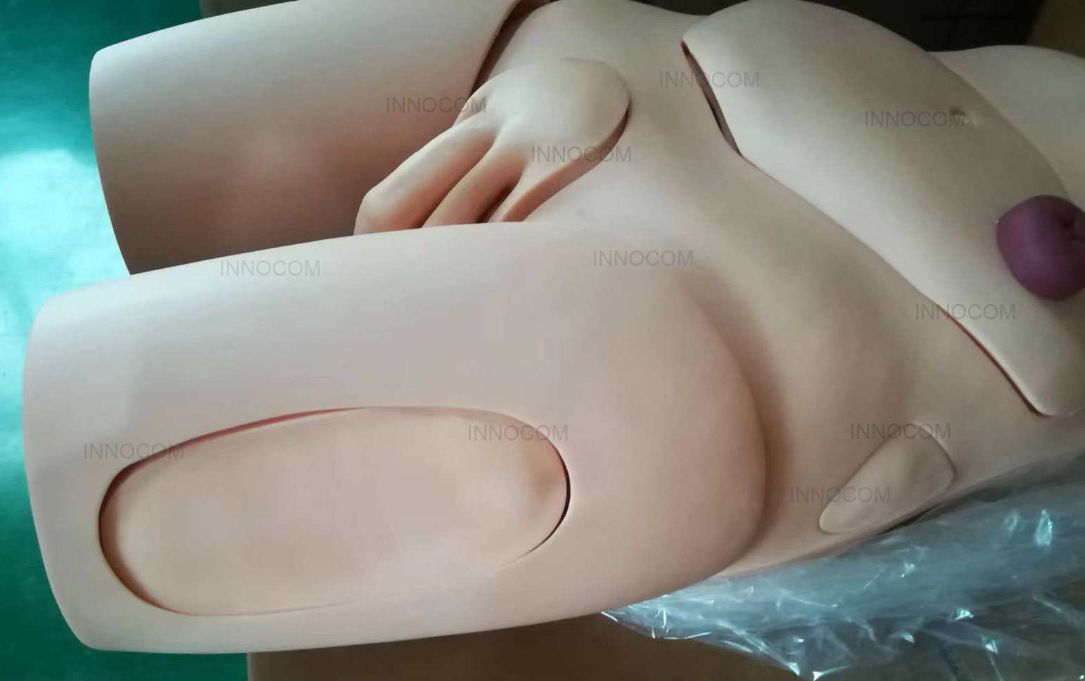 Advanced Educational Female Catheterization Model Nursing Training Female Catheterization Model