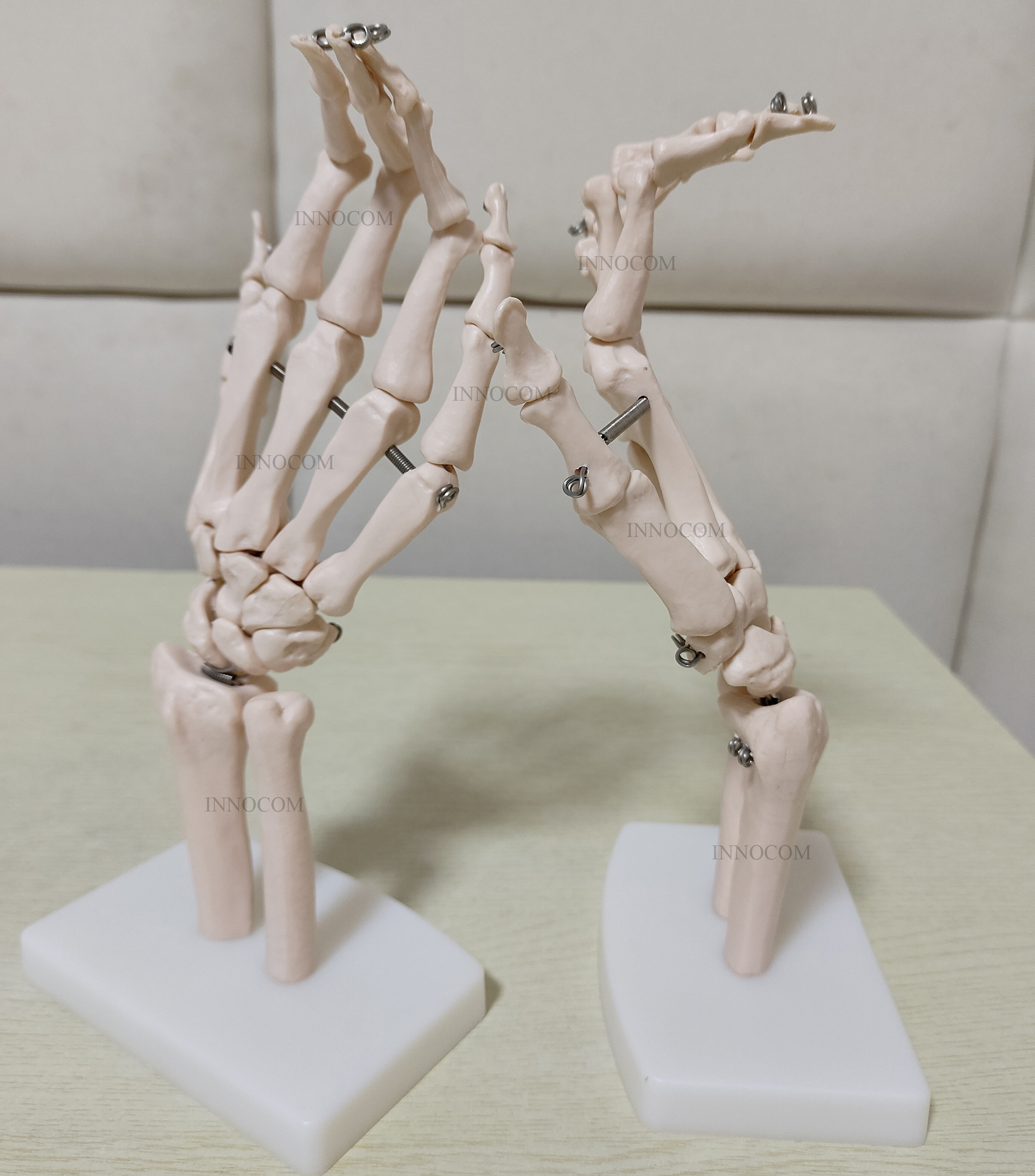 Medical Science Life-Size Hand Joint Anatomical Model Human Education Skeleton Life-Size Hand Joint Model