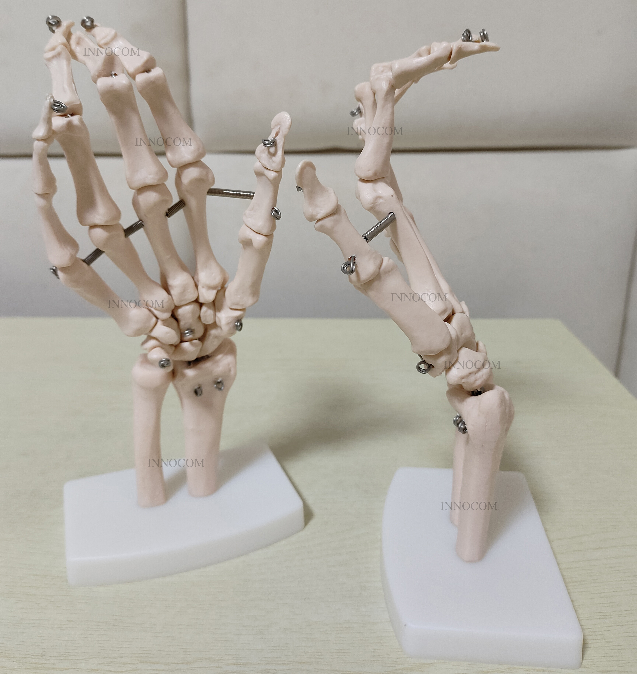 Medical Science Life-Size Hand Joint Anatomical Model Human Education Skeleton Life-Size Hand Joint Model