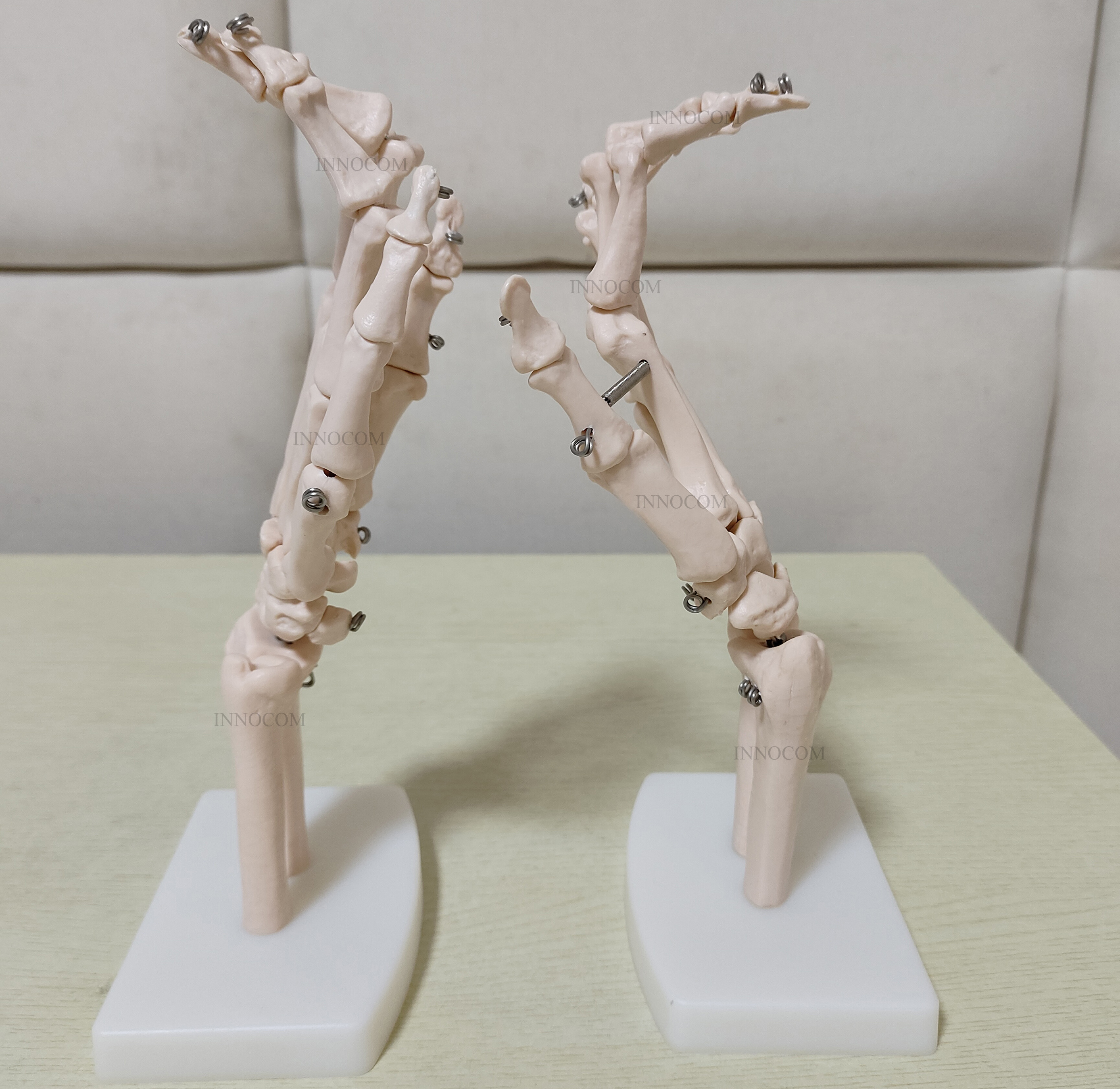 Medical Science Life-Size Hand Joint Anatomical Model Human Education Skeleton Life-Size Hand Joint Model