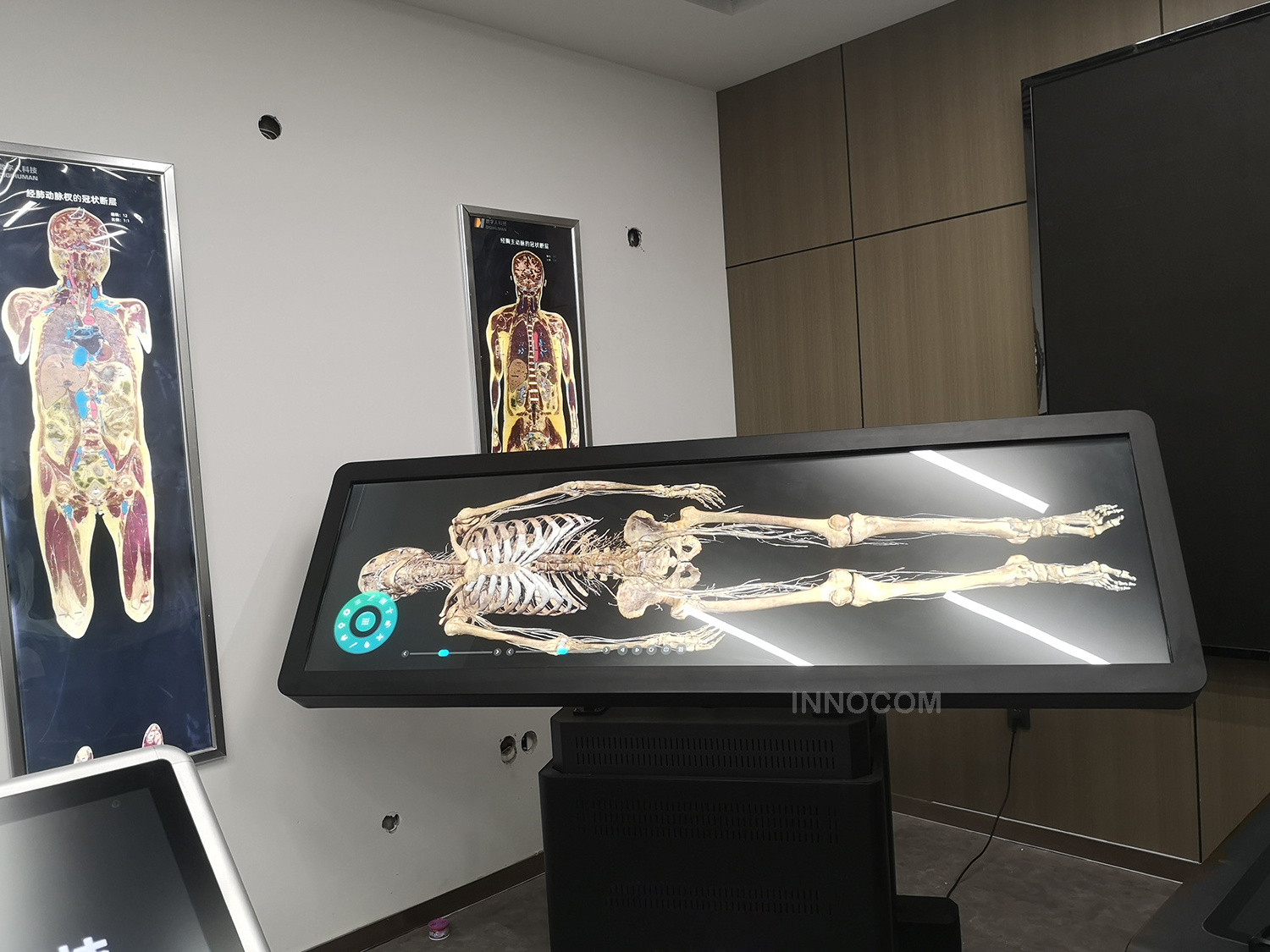 Medical Education Teaching Human 3D Anatomy Virtual System Digital Body Anatomy System Virtual Anatomage Table