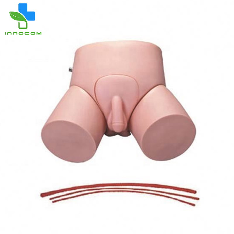 Educational Training Male/Female Electronic Urethral Catheterization and Enema Model Enema Nursing Training Model