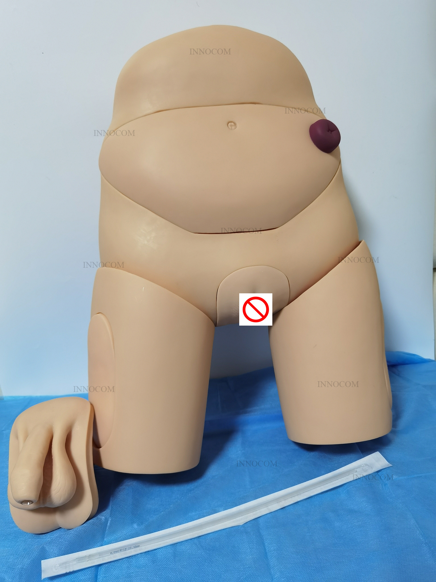 Advanced Educational Female Catheterization Model Nursing Training Female Catheterization Model