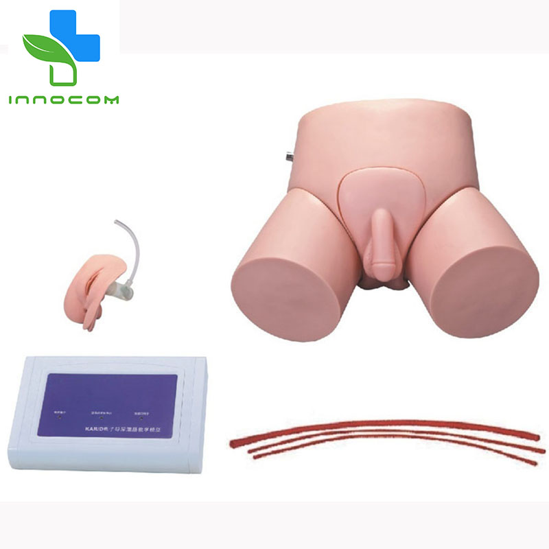 Educational Training Male/Female Electronic Urethral Catheterization and Enema Model Enema Nursing Training Model