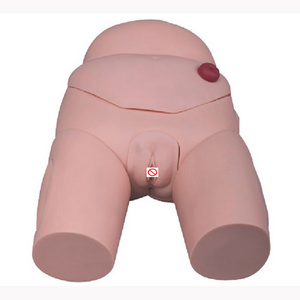 Advanced Educational Female Catheterization Model Nursing Training Female Catheterization Model