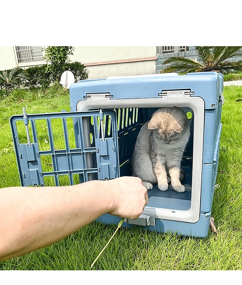 Collapsible portable pet carrier bag foldable cat carrier