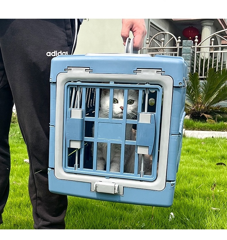 Hot Sell Outdoor Plastic Collapsible Pet Carrier Airline Approved Travel Cat Dog Carriers for Small Dogs Cats