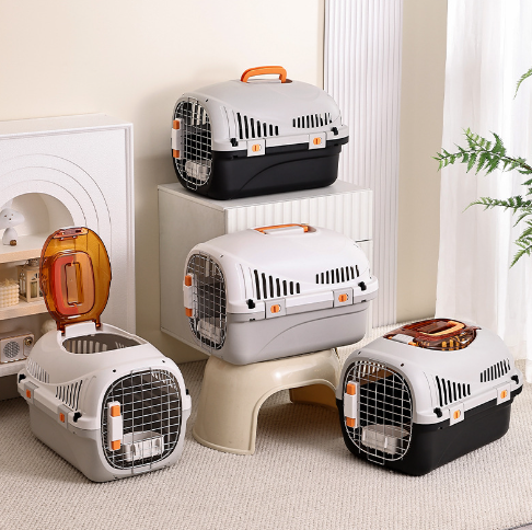 Hot Selling Portable Plastic Pet Space Bag Dog Airline Crates Air Box For Cats And Dogs