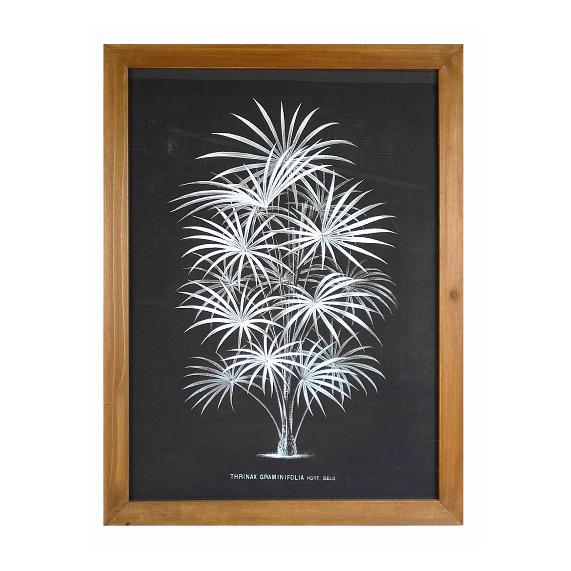 INNOVA Home living room decor rustic black and white palm tree painting wooden wall decorative art panels