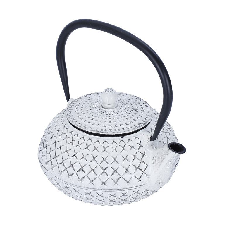 Energinox 800ml White Color Stovetop Safe Japanese Cast Iron Tea Pot Kettles