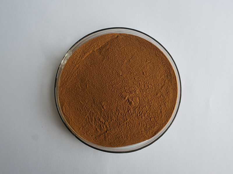 Insen Bulk Stock Guava Extract Guava Powder