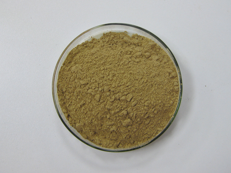 Cyanotis Vaga Extract Beta-Ecdysterone