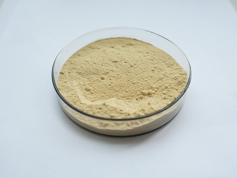 Pure Natural Bitter Orange Extract Hesperidin Powder