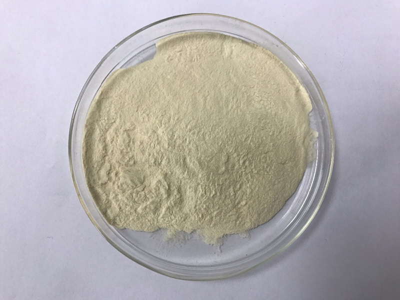 Insen Supply Wholesale Isolate Whey Protein