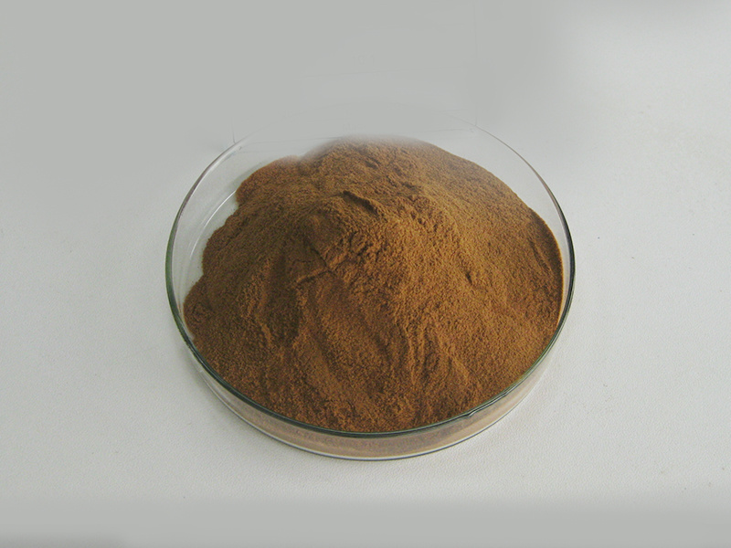 Insen Supply Natural Rose Hip Extract Rose Hip Powder