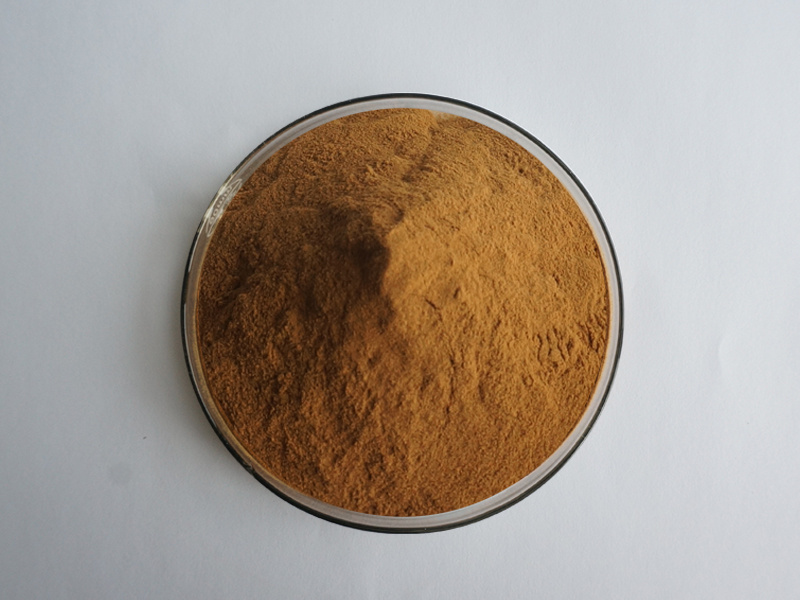 Insen Bulk Stock Guava Extract Guava Powder