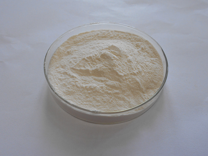 Hot Health Supplement White Kidney Bean Extract Powder