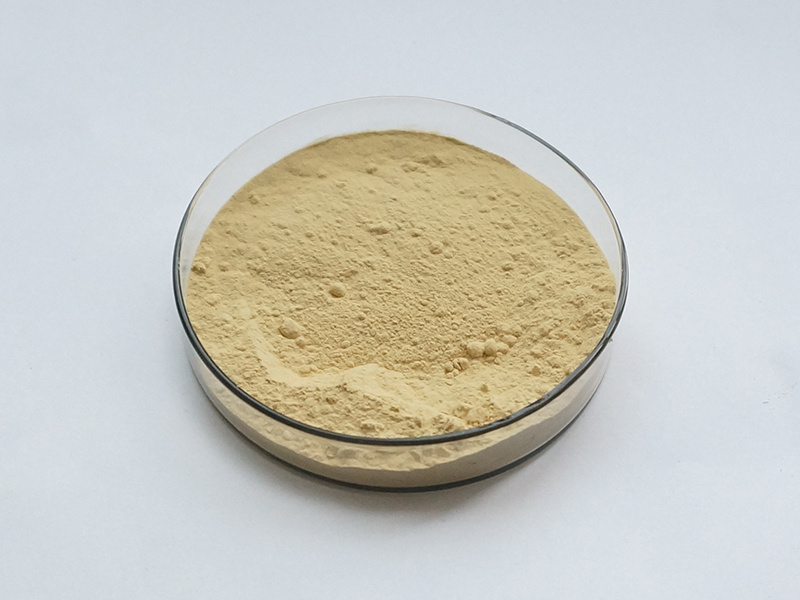 Pure Natural Bitter Orange Extract Hesperidin Powder