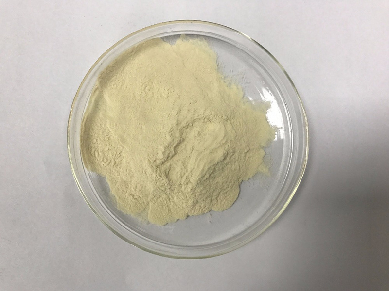 Insen Supply Wholesale Isolate Whey Protein