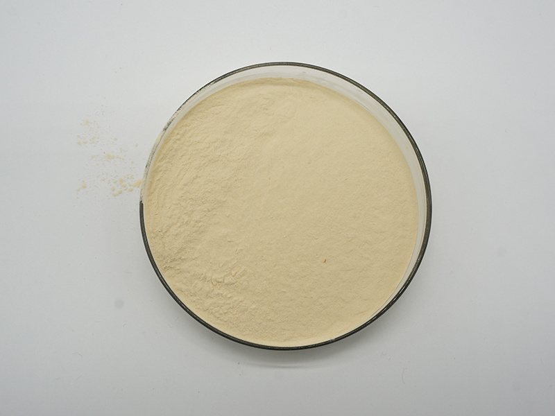 Insen Supply Bulk Quantity Beta Glucan Powder