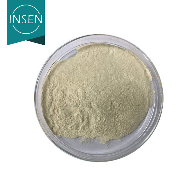 Insen Supply Wholesale Isolate Whey Protein