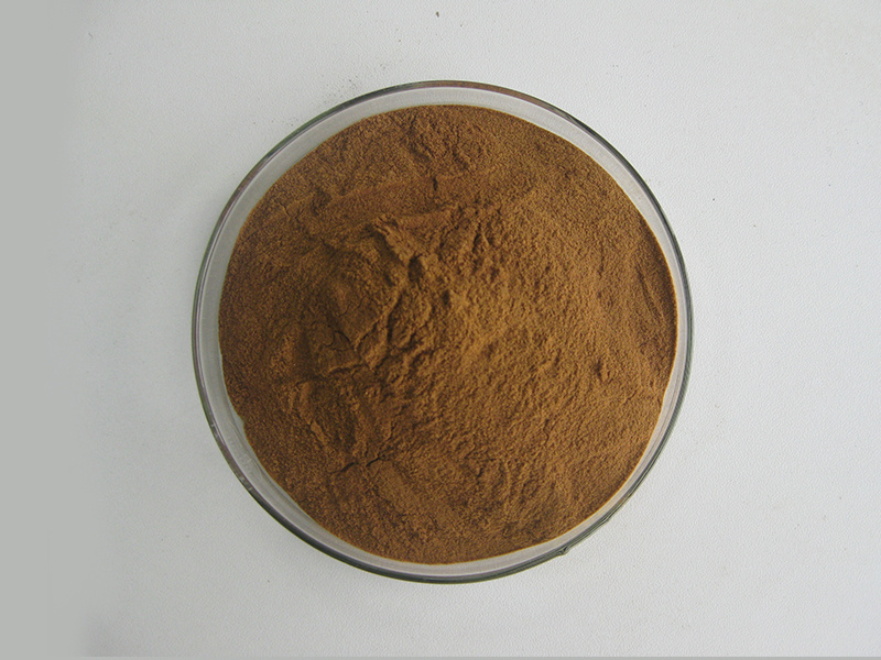 Insen Supply Natural Rose Hip Extract Rose Hip Powder