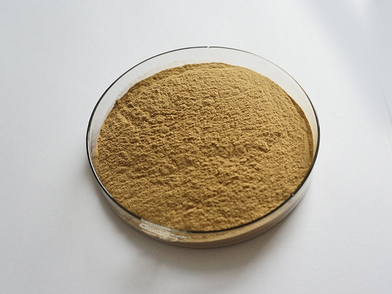 100% Natural Chlorogenic Acid Eucommia Ulmoides Extract