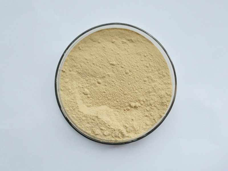 Pure Natural Bitter Orange Extract Hesperidin Powder